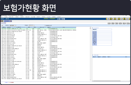 보험가현황화면